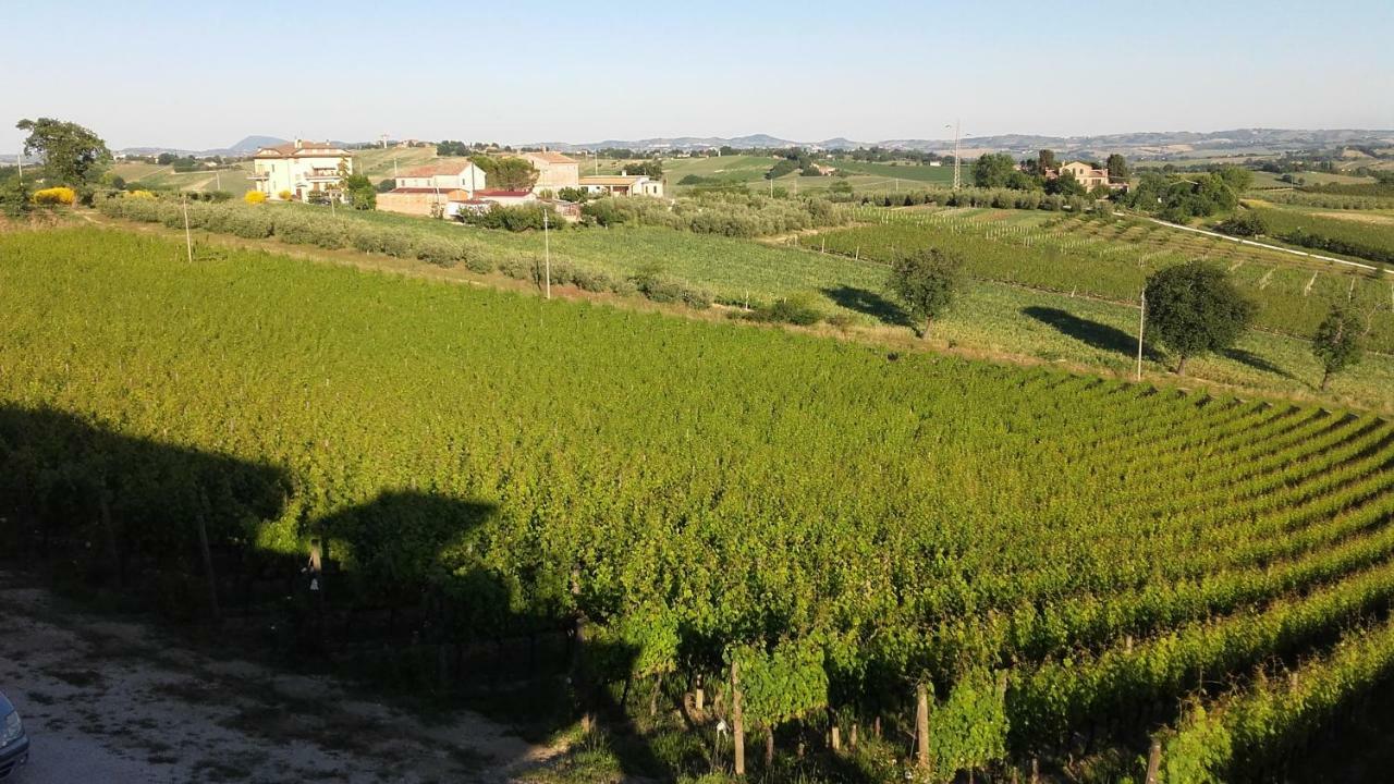 B & B Il Sicomoro Montecarotto ภายนอก รูปภาพ