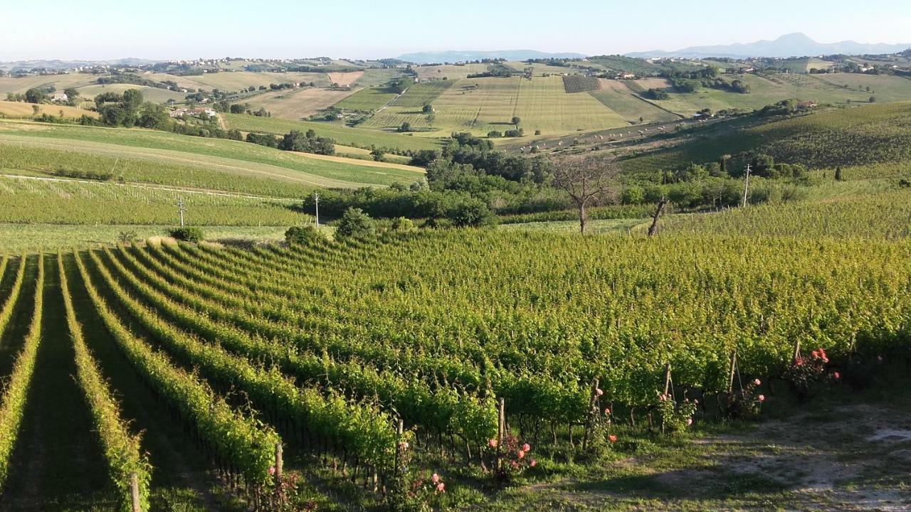 B & B Il Sicomoro Montecarotto ภายนอก รูปภาพ